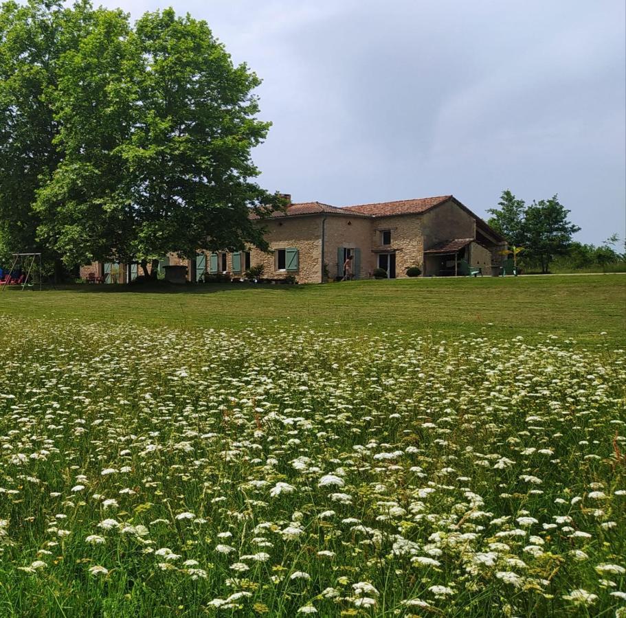 Le Haut Sechoir Buzet-sur-Baise Экстерьер фото